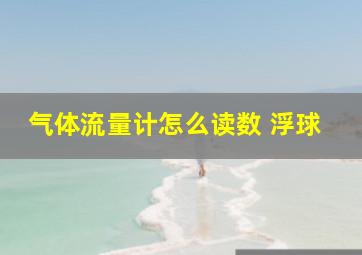 气体流量计怎么读数 浮球